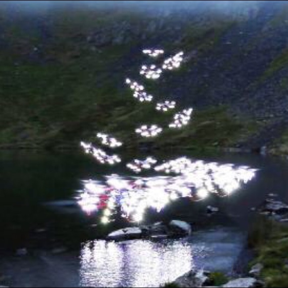 Meet your Posher, Cameron